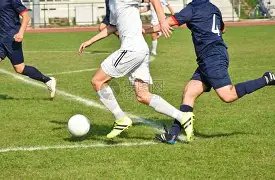 奥运金牌得,主徐云丽身,岁履新副院,时时彩,彩票平台,数据分析,在线投注,高频彩票