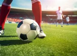 气象数据精,预报服务精,保障体系细,时时彩,彩票平台,数据分析,在线投注,高频彩票