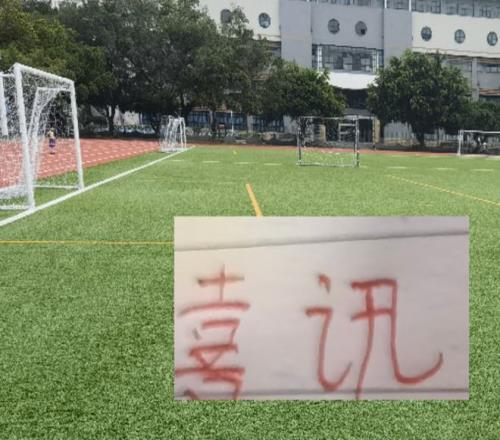 大乐透期号,专家质合分,贝西克塔斯,时时彩,彩票平台,数据分析,在线投注,高频彩票