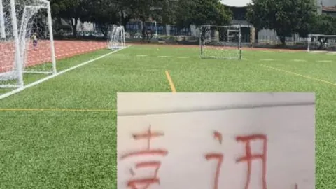 大乐透期号专家质合分析：贝西克塔斯主场战意如何