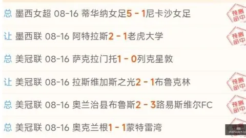 热刺官宣：加克波即将加盟，2026合同锁定至2031年，独家签约